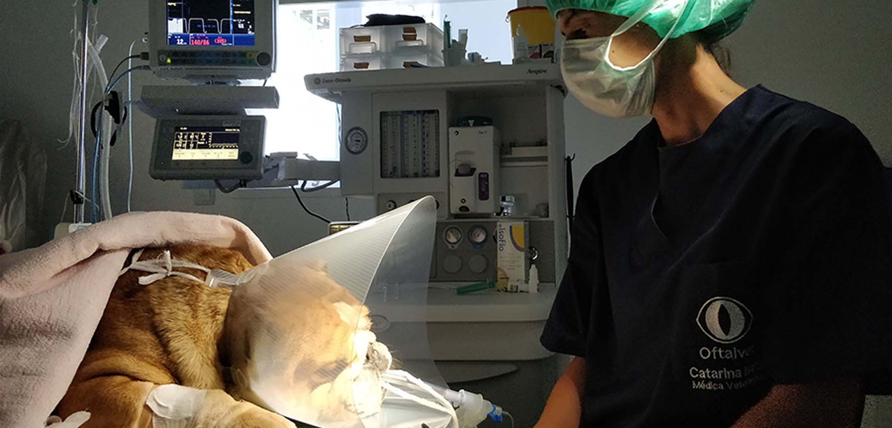 tratamemtos a laser